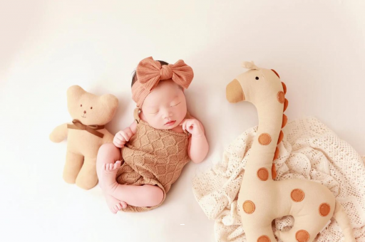 宁阳宝宝虾的做法 宁阳宝宝虾的做法